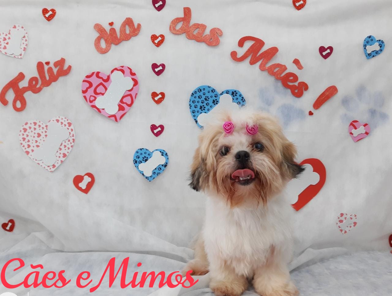 Pet - Temáticos