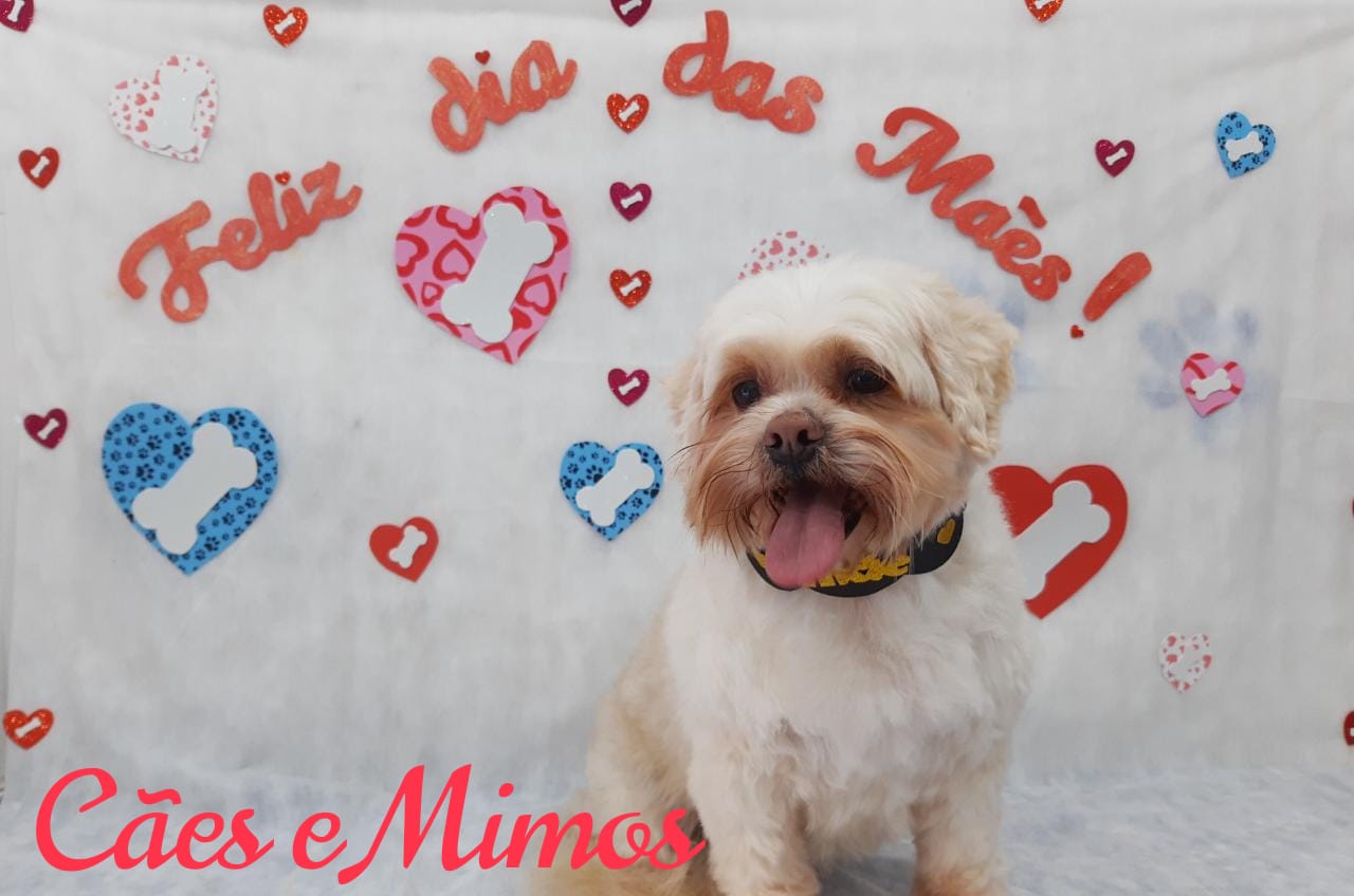 Pet - Temáticos
