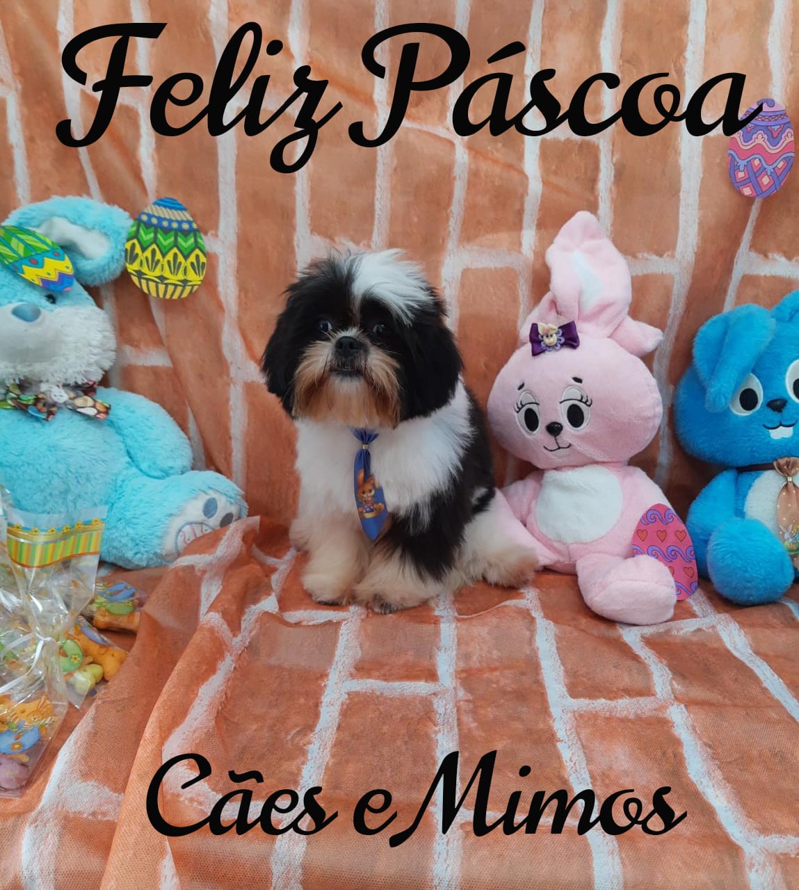 Pet - Temáticos