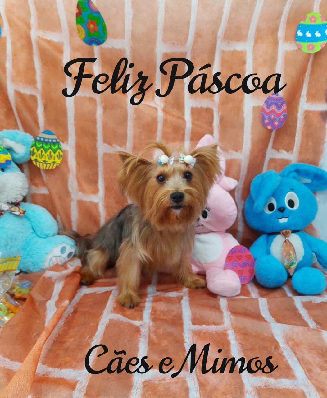 Pet - Temáticos