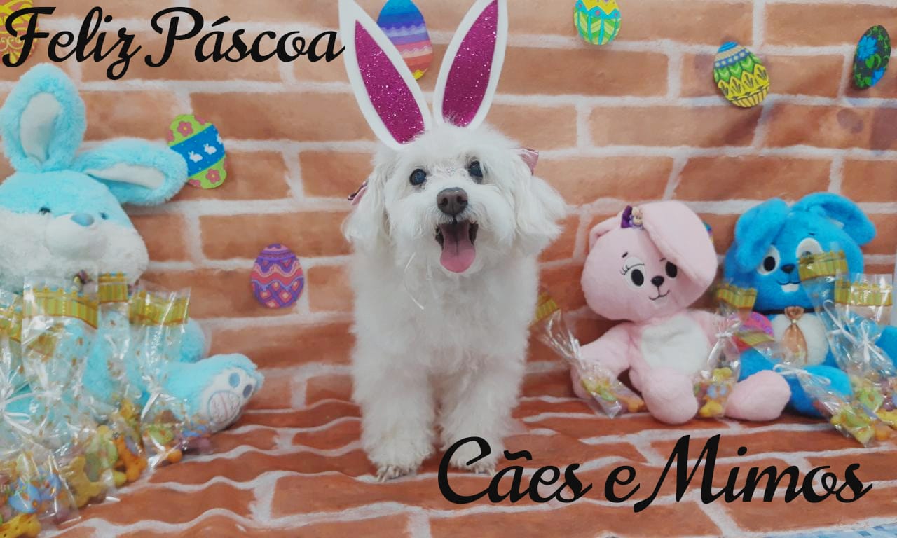 Pet - Temáticos