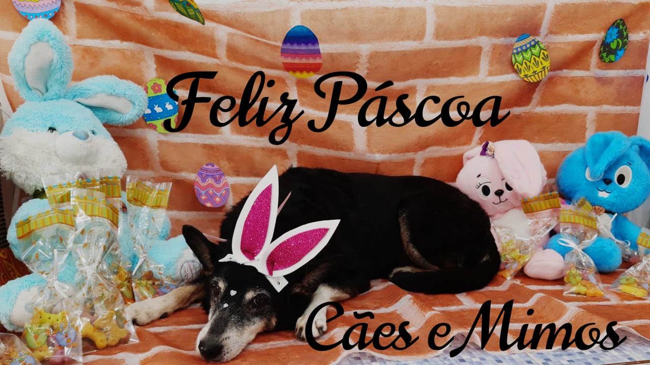 Pet - Temáticos