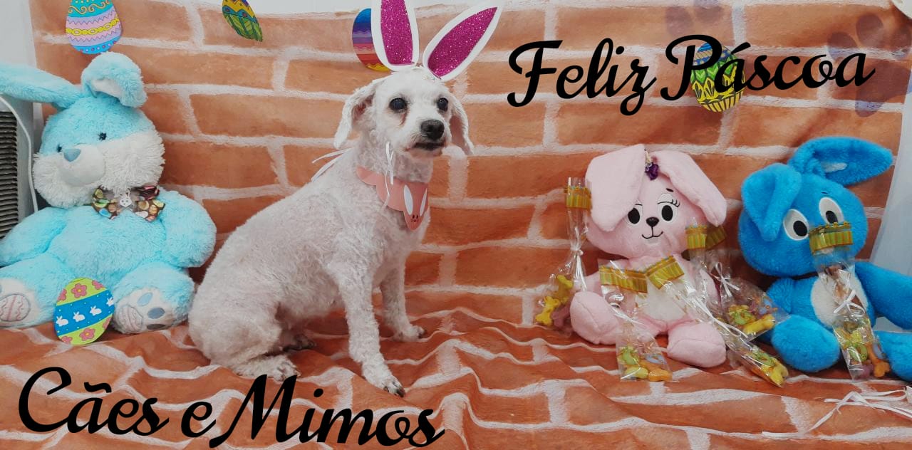 Pet - Temáticos