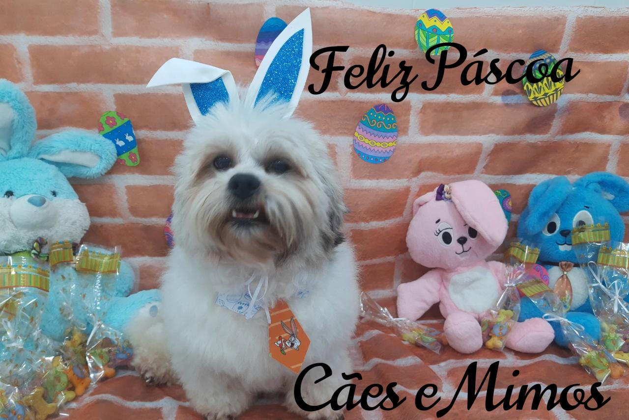 Pet - Temáticos